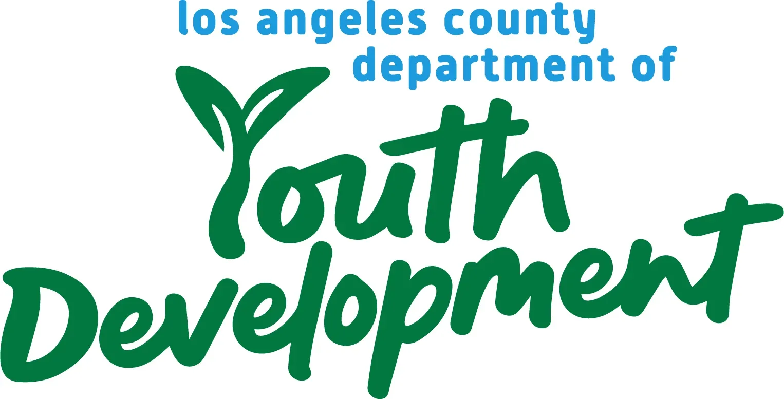 DYD Logo_Primary_2_Color